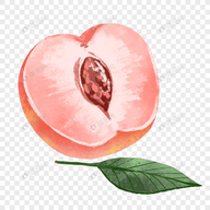 菠萝视频APPAPP应用