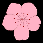 蜜桃网站APPAPP应用